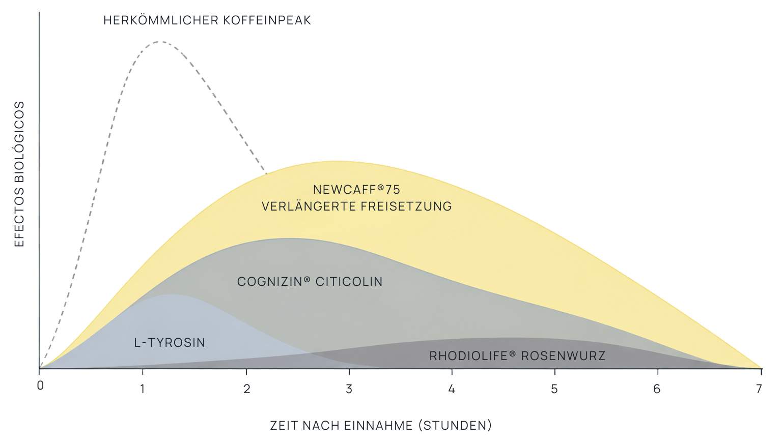 Zeitliche Aktivierungsgrafik der VENZE-Inhaltsstoffe